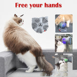 Electric Pets Cat Brush LED Toy Massager Pet Products