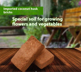 Coconut Bran Flower Succulent Seedling Vegetable Flower Green Plant Soilless Cultivation Substrate Coconut Shell Brick