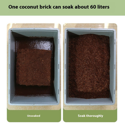 Coconut Bran Flower Succulent Seedling Vegetable Flower Green Plant Soilless Cultivation Substrate Coconut Shell Brick